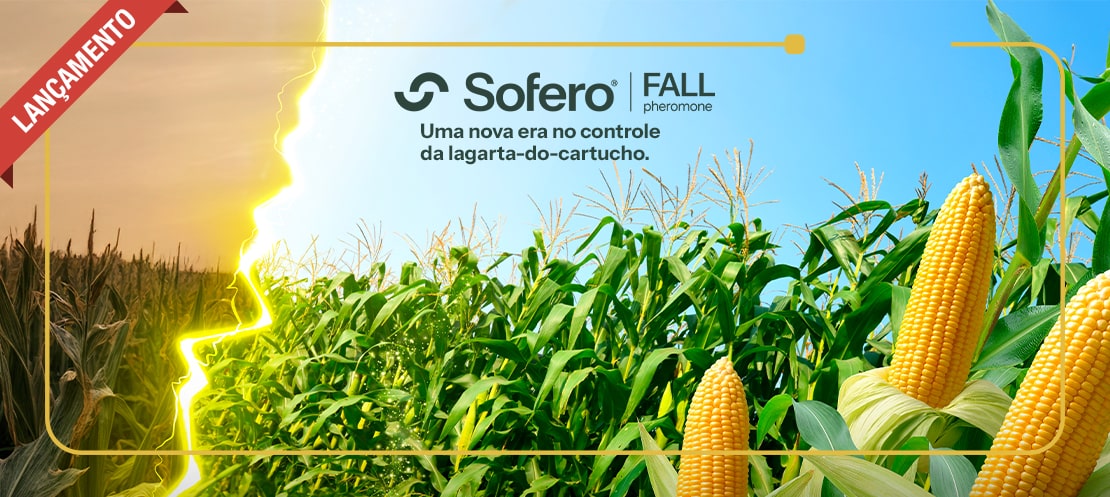 Sofero Fall