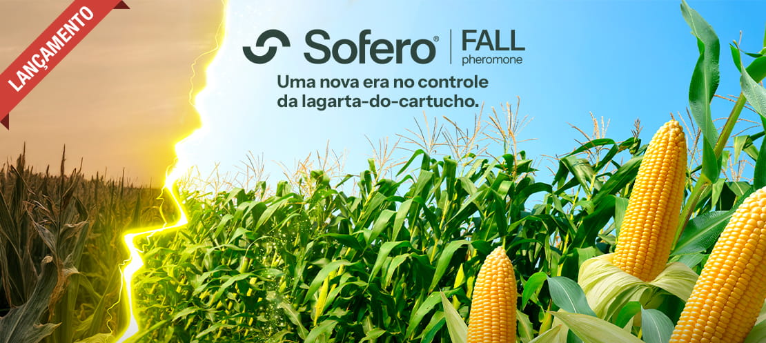Sofero Fall