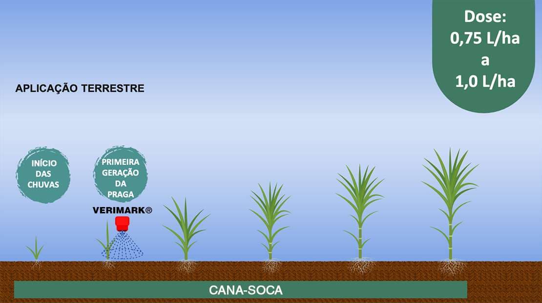 Nossa recomendação de aplicação para Verimark®