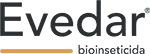 Evedar