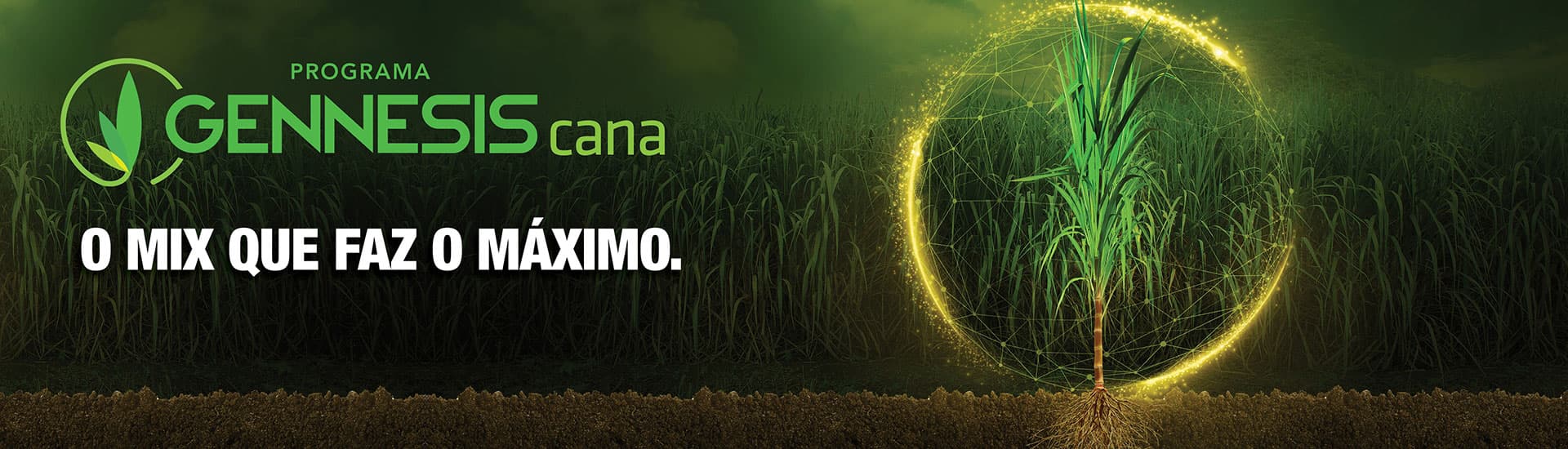 Programa Gennesis Cana