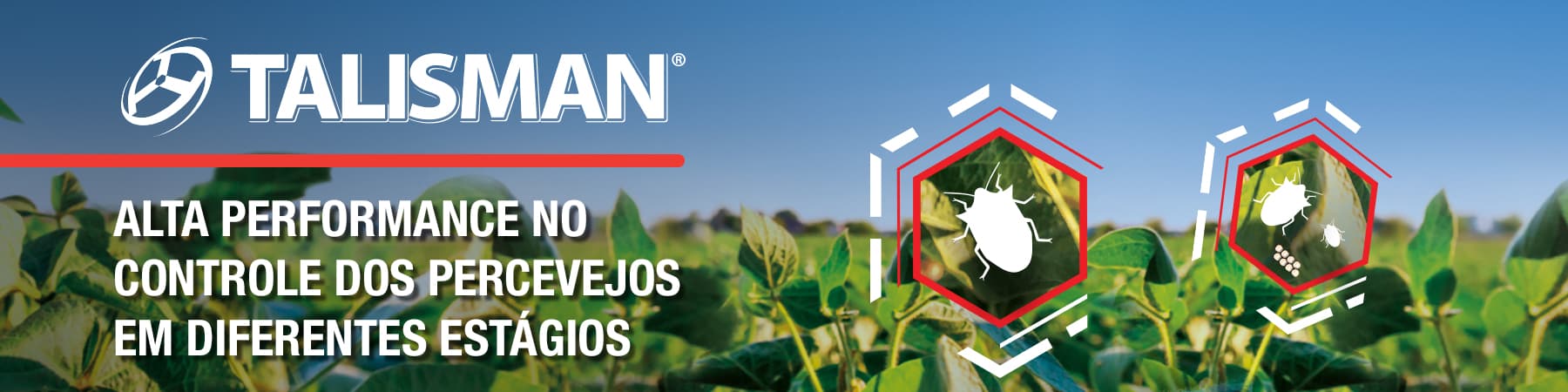 Talisman - Alta Performance no Controle dos Percevejos em Diferentes Estágios