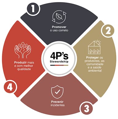 os 4 p's de stewardship